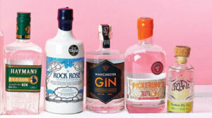 Rượu Gin